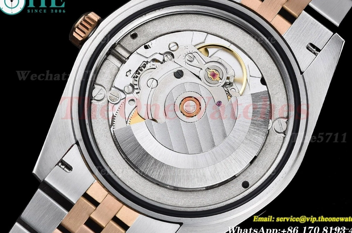 GMF SS Dia 36mm 126231 RG Datejust White A2824 0302